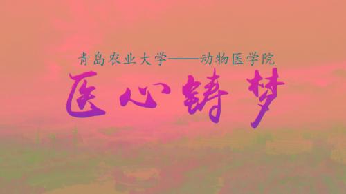 医心铸梦--2018年动物医学院教学科研宣传片